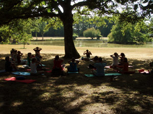 Qi gong dans le parc