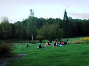 Méditation dans le parc